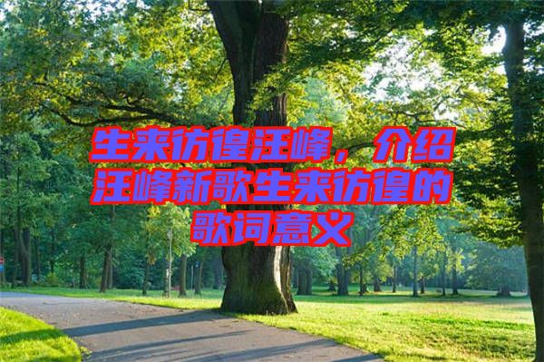 生來(lái)彷徨汪峰，介紹汪峰新歌生來(lái)彷徨的歌詞意義