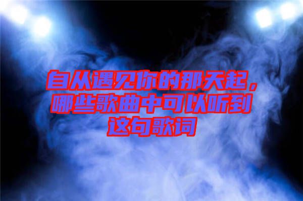 自從遇見你的那天起，哪些歌曲中可以聽到這句歌詞