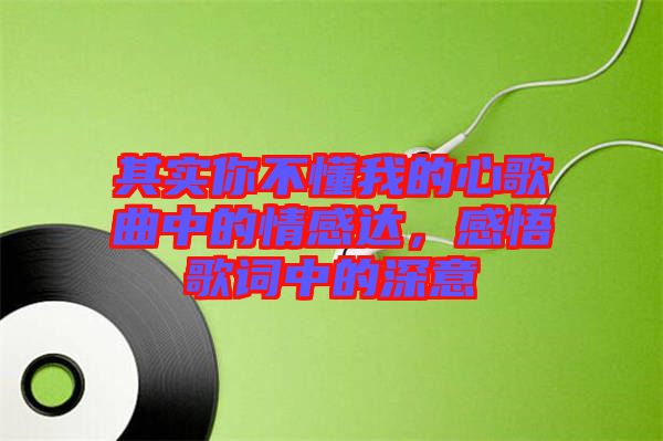 其實你不懂我的心歌曲中的情感達(dá)，感悟歌詞中的深意