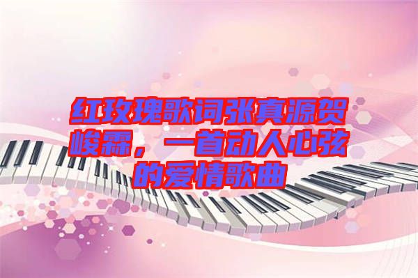 紅玫瑰歌詞張真源賀峻霖，一首動(dòng)人心弦的愛情歌曲