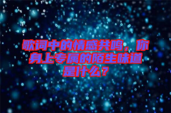 歌詞中的情感共鳴，你身上專屬的陌生味道是什么？