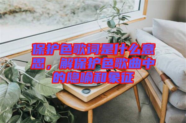 保護色歌詞是什么意思，解保護色歌曲中的隱喻和象征