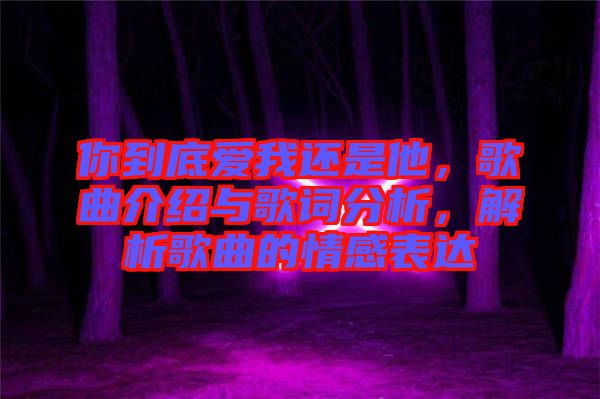 你到底愛我還是他，歌曲介紹與歌詞分析，解析歌曲的情感表達(dá)