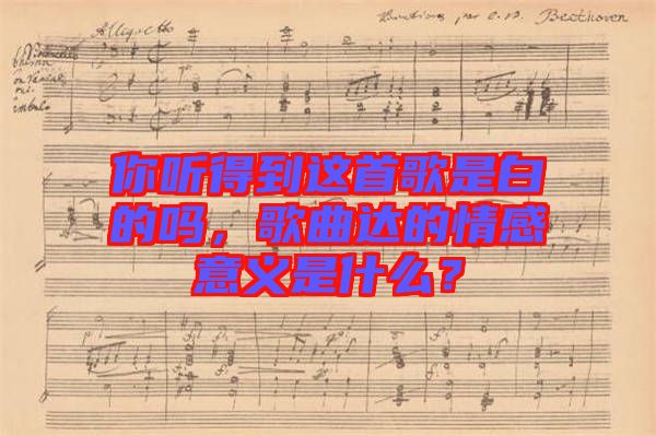 你聽得到這首歌是白的嗎，歌曲達(dá)的情感意義是什么？