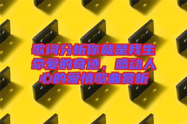 歌詞分析你就是我生命愛的奇跡，感動人心的愛情歌曲賞析