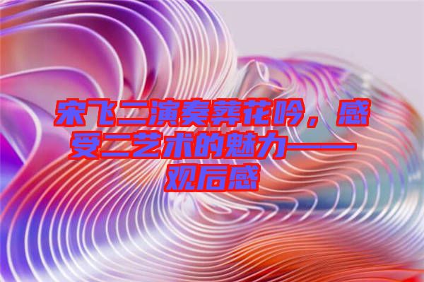 宋飛二演奏葬花吟，感受二藝術(shù)的魅力——觀后感