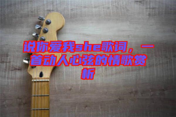 說你愛我she歌詞，一首動人心弦的情歌賞析