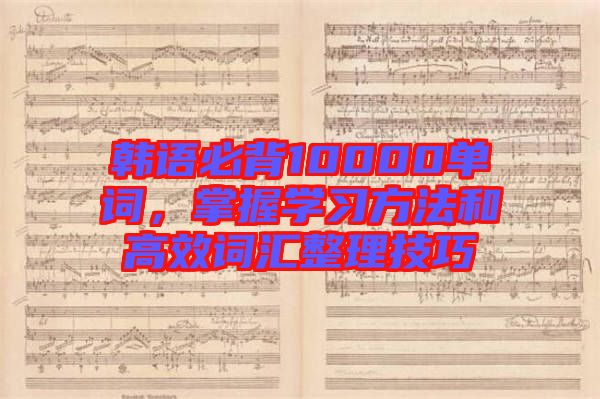 韓語(yǔ)必背10000單詞，掌握學(xué)習(xí)方法和高效詞匯整理技巧