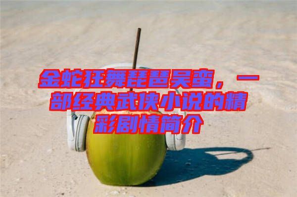 金蛇狂舞琵琶吳蠻，一部經(jīng)典武俠小說的精彩劇情簡介