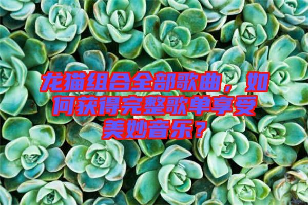 龍貓組合全部歌曲，如何獲得完整歌單享受美妙音樂？