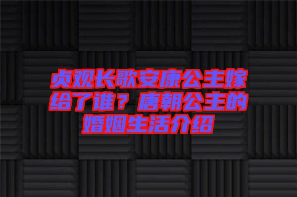 貞觀長歌安康公主嫁給了誰？唐朝公主的婚姻生活介紹