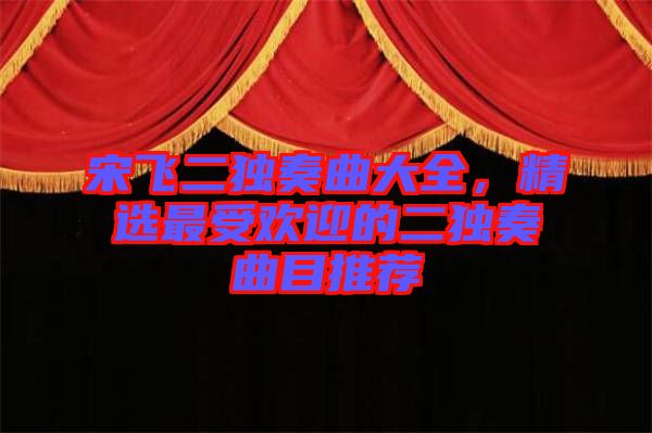 宋飛二獨奏曲大全，精選最受歡迎的二獨奏曲目推薦