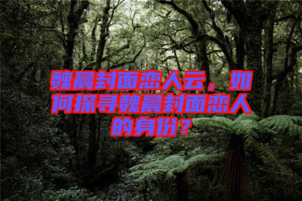 魏晨封面戀人云，如何探尋魏晨封面戀人的身份？