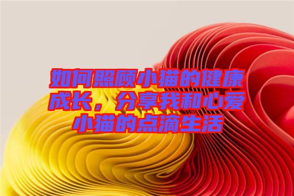 如何照顧小貓的健康成長，分享我和心愛小貓的點滴生活