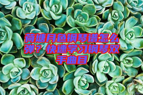 荷塘月色鋼琴譜怎么彈？快速學習鋼琴雙手曲目