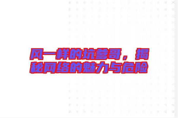 風一樣的坑爹哥，揭秘網(wǎng)絡(luò)的魅力與危險