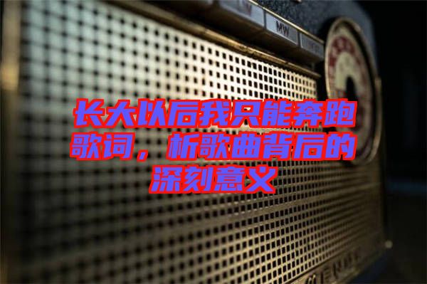 長大以后我只能奔跑歌詞，析歌曲背后的深刻意義