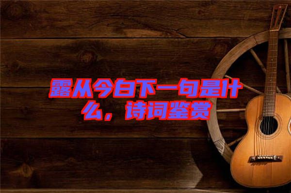 露從今白下一句是什么，詩(shī)詞鑒賞