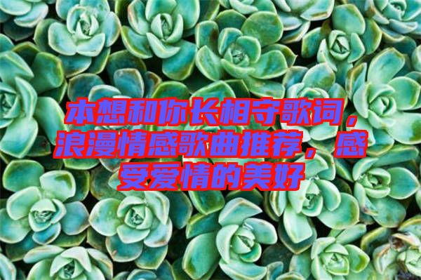 本想和你長(zhǎng)相守歌詞，浪漫情感歌曲推薦，感受愛情的美好